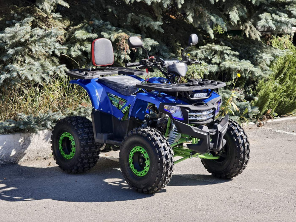 Квадроцикл детский R - MOTO (Р - Мото) Lion 110 A чёрный (машинокомплект) | Мототека